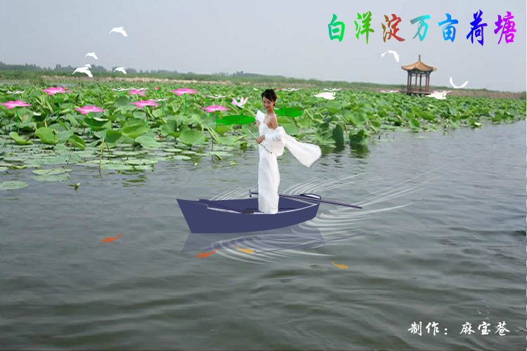 白洋淀万亩荷塘（麻宝苍） 截图 5/8