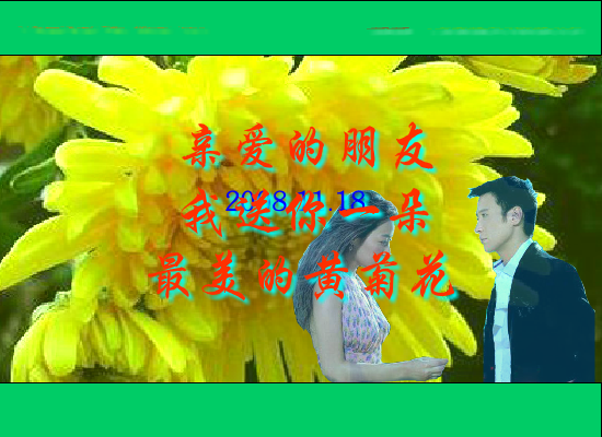 黄菊花开了（Blue） 截图 6/8