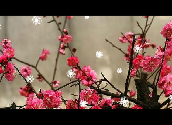 一剪梅（chenrongxin123） 截图 4/8