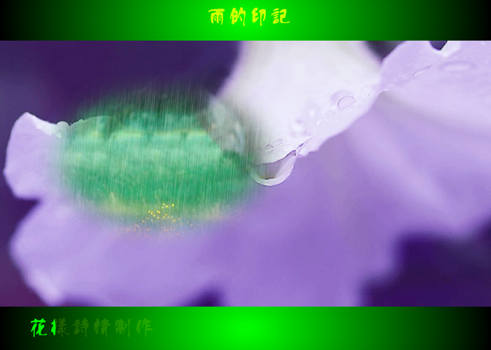 雨的印记（火星人QQ） 截图 6/8