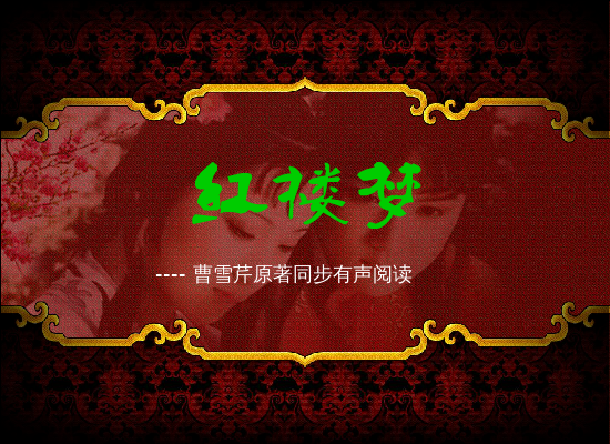 红楼梦原著同步有声阅读第九回（下）（wuji120） 截图 4/8