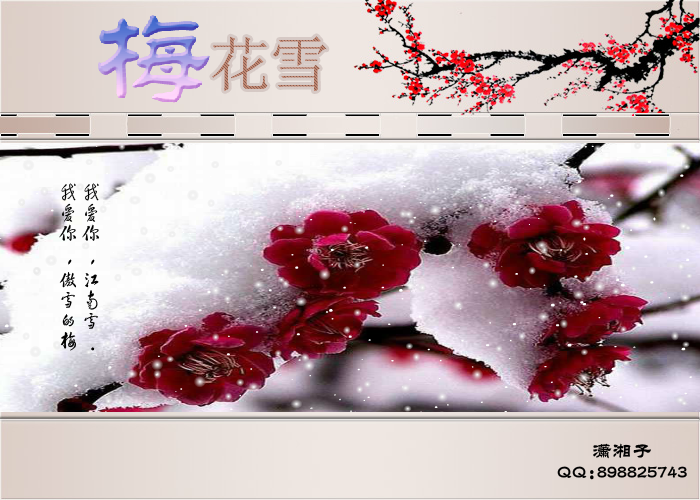 梅花雪（潇湘子） 截图 2/8