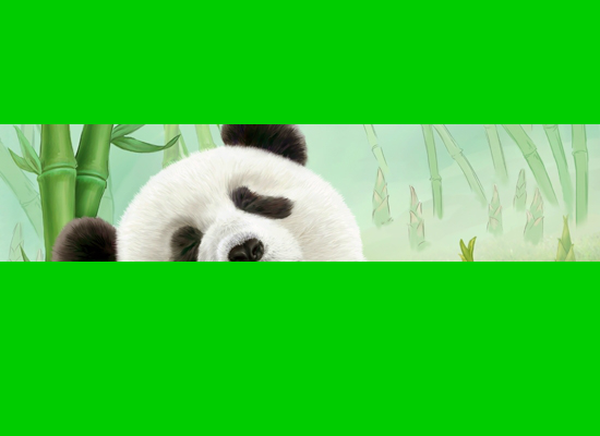 94年美国世界杯歌曲我们是冠军（晨梦鸣） 截图 1/5