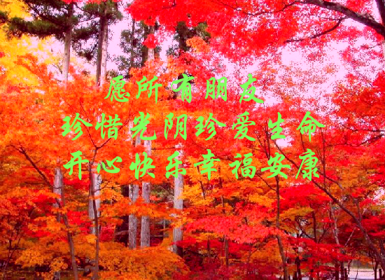 生日随感（Blue） 截图 6/8