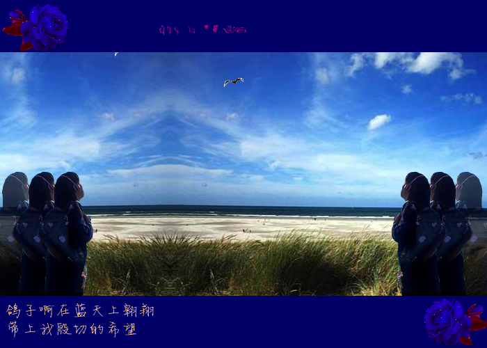 飞吧鸽子（紫罗兰） 截图 3/8