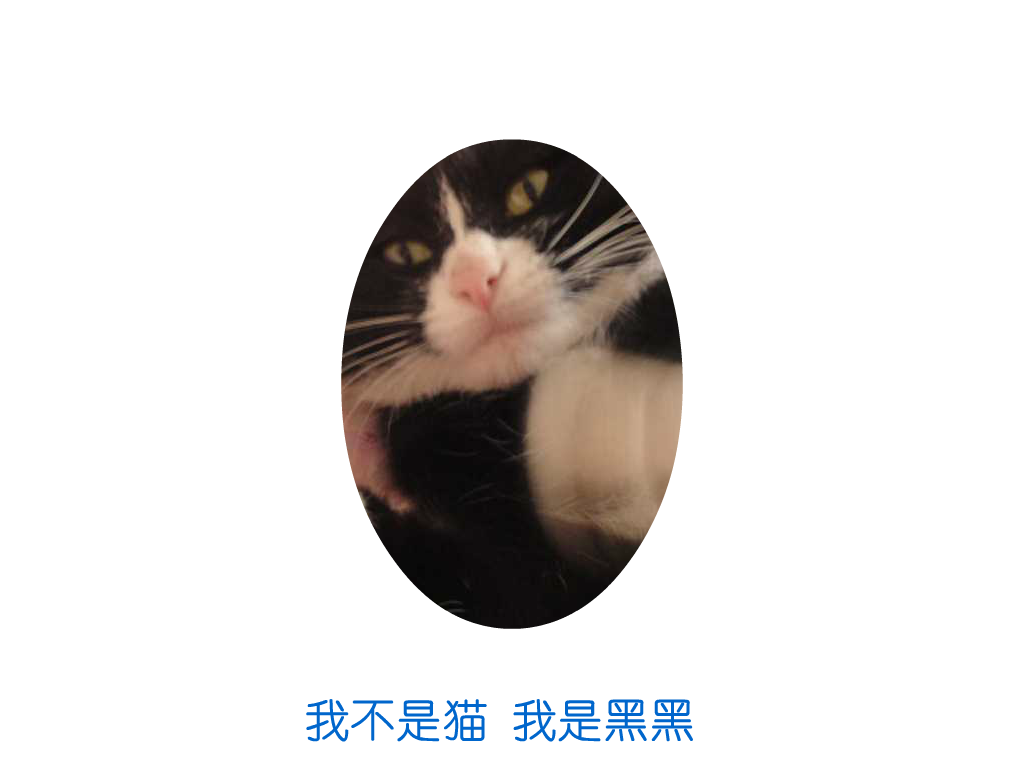 猫（飘渺客） 截图 1/8