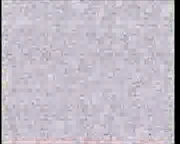 马桶（xiongxiong_1979） 截图 4/8