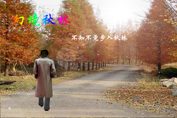幻境秋林（yriql） 截图 1/7