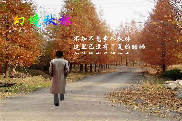 幻境秋林（yriql） 截图 3/7