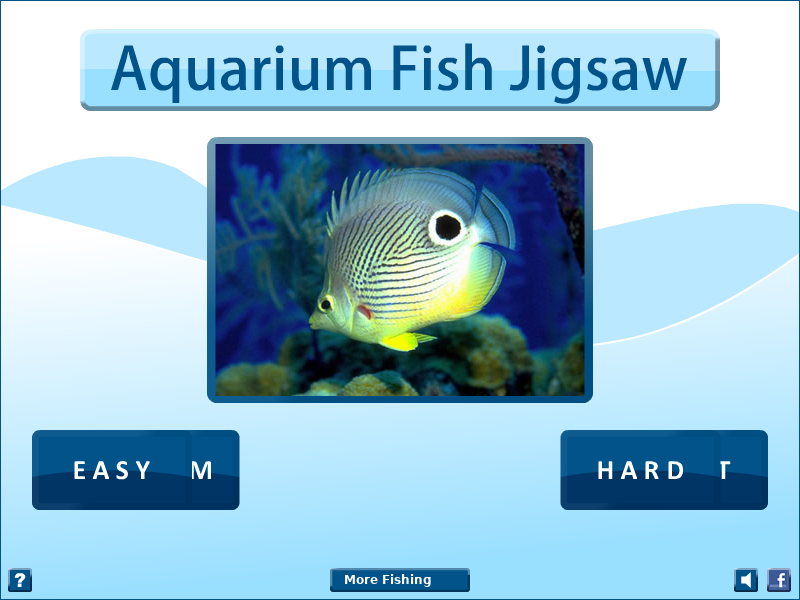 水族馆鱼类拼图 截图 7/8