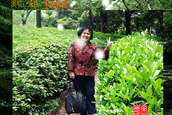 不会分离（sz_yxf） 截图 5/8