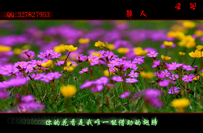 醉人的花香（wxm671022） 截图 5/8