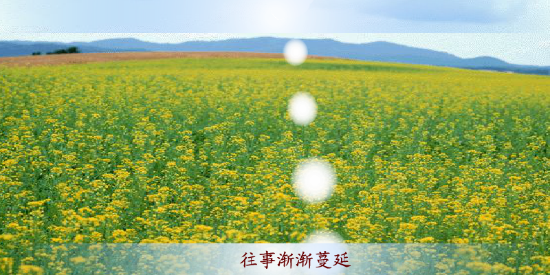 游鸿明 爱一回伤一回（未知） 截图 5/8