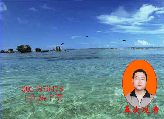 樱花开（你和我） 截图 7/8