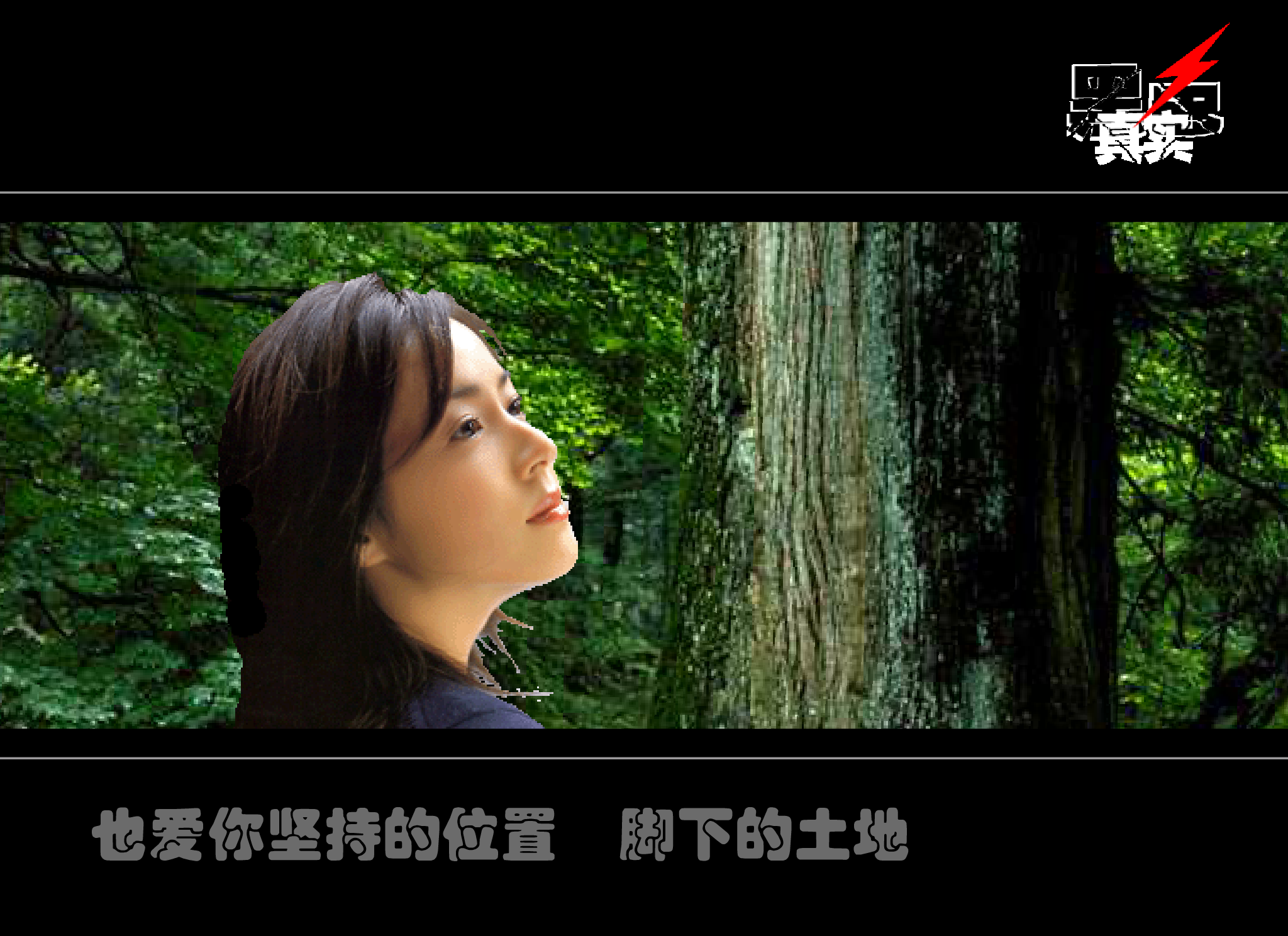 致橡树舒婷（黑色真实） 截图 6/8