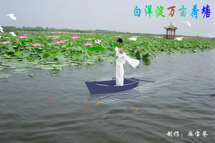 白洋淀万亩荷塘（麻宝苍） 截图 4/8