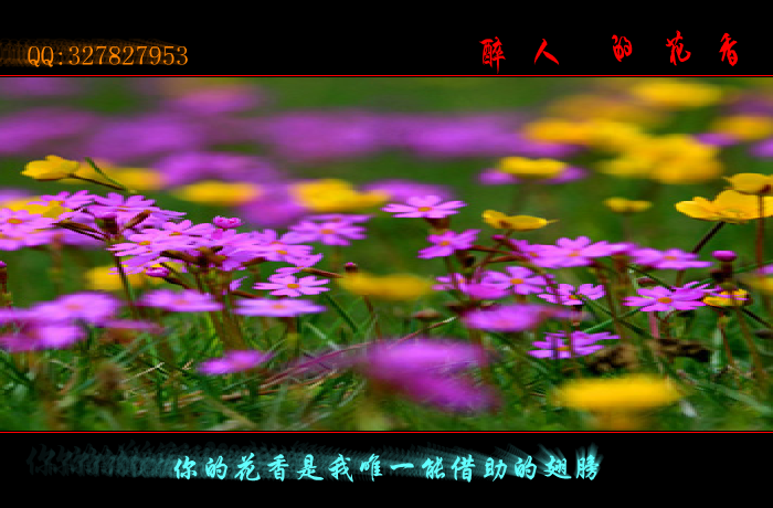 醉人的花香（wxm671022） 截图 6/8