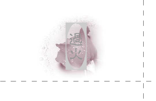 过火（薇儿） 截图 1/8