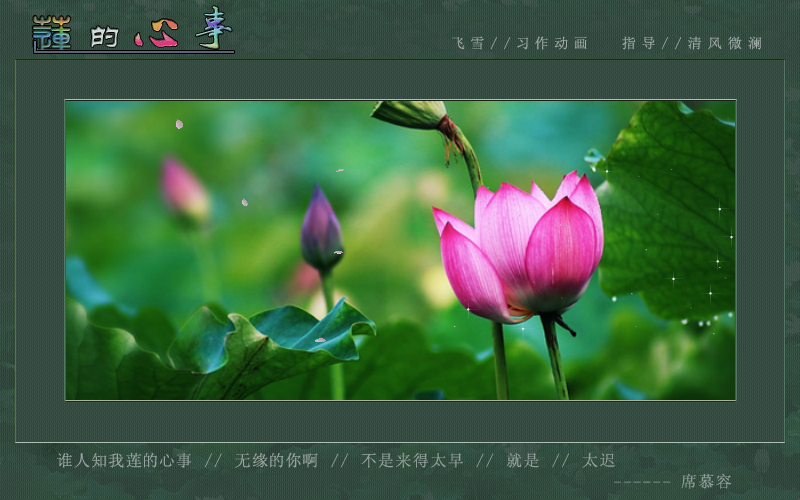 莲的心事（yt005） 截图 1/8