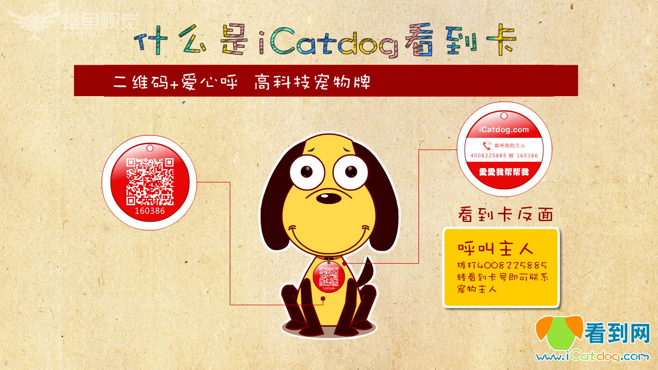 icatdog看到网介绍（蝠鱼视觉） 截图 5/8
