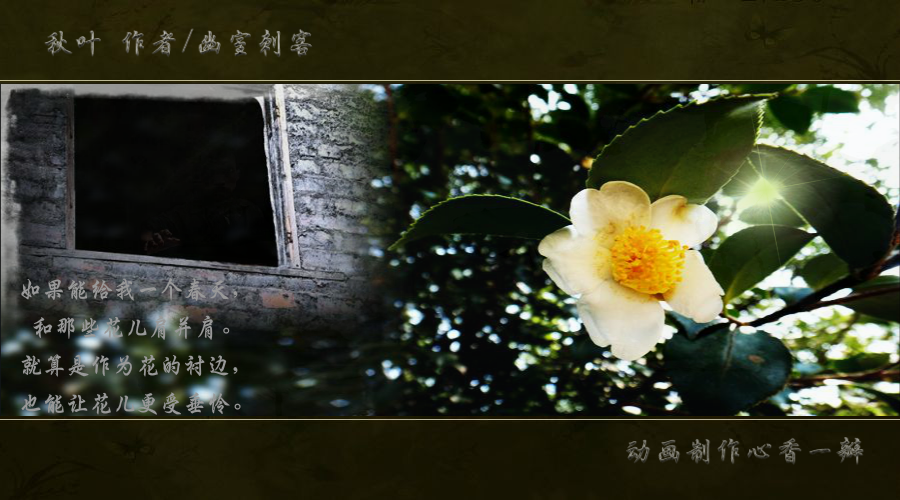 秋叶（mmmm1234） 截图 4/5
