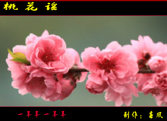 桃花谣（指间春色（春风）） 截图 6/8