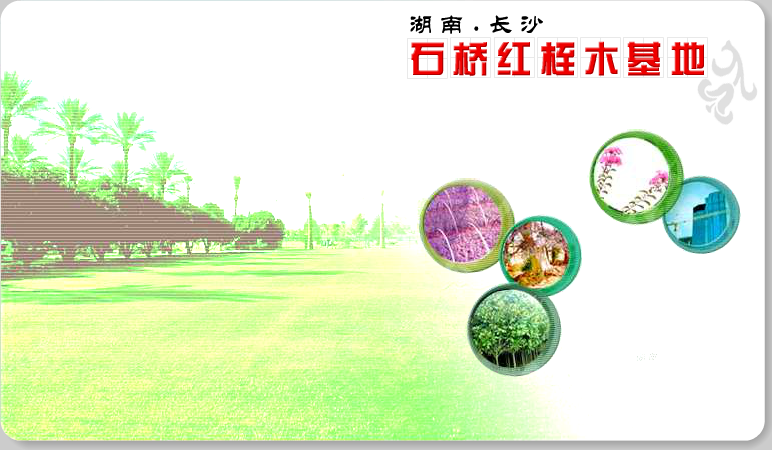 网站片头（快乐小珂） 截图 3/8