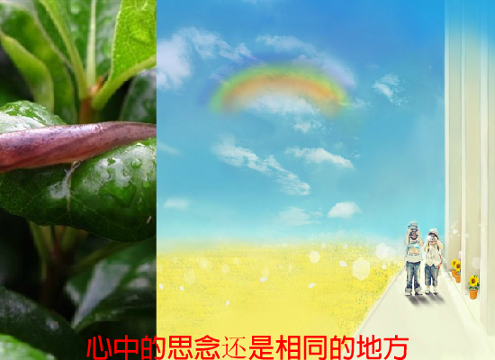 回家（阳光愚石） 截图 3/8
