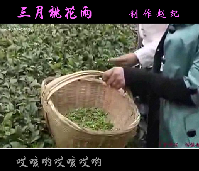 三月桃花雨（赵纪） 截图 6/8