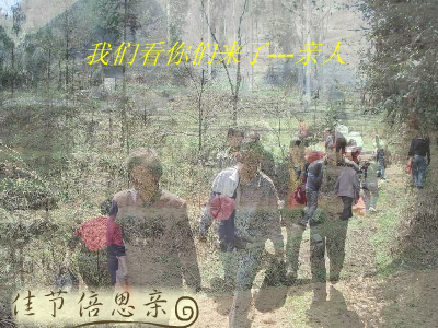清明（重阳秋林） 截图 6/8