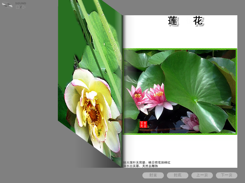 莲花相册（sz_yxf） 截图 3/5
