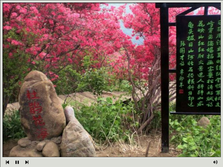杜鹃花海—麻城观光摄影（浔阳司马） 截图 7/8