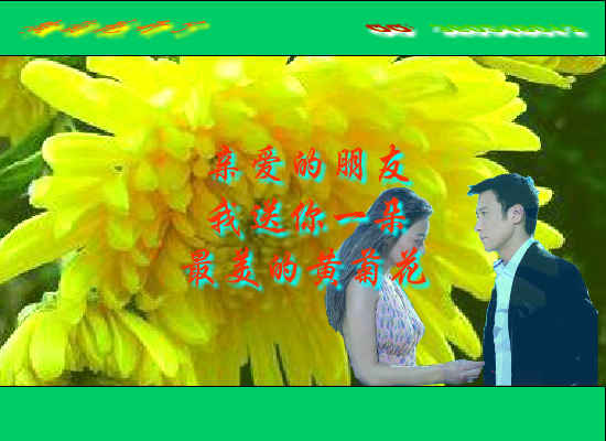 黄菊花开了（Blue） 截图 4/8