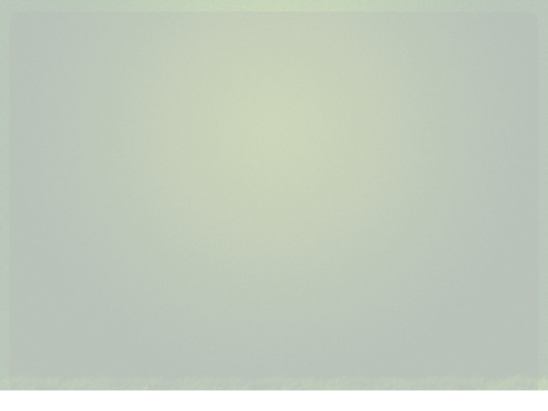 NJDR-ZQFP-N19X 截图 4/5