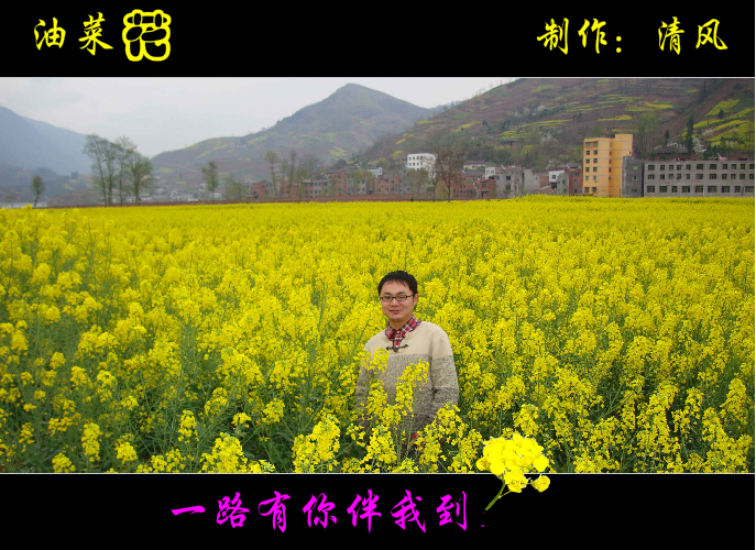 油菜花（清风） 截图 6/8