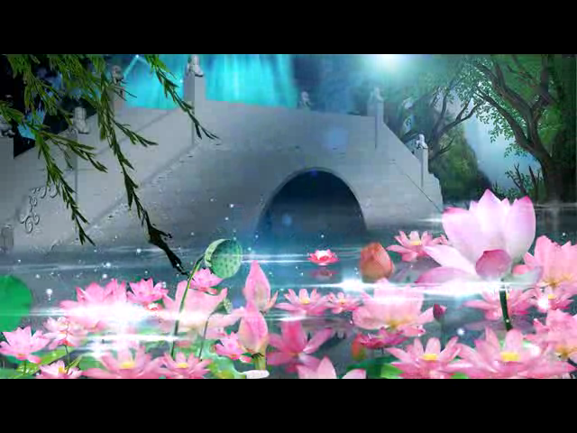 荷花（钟华锦绣） 截图 3/8