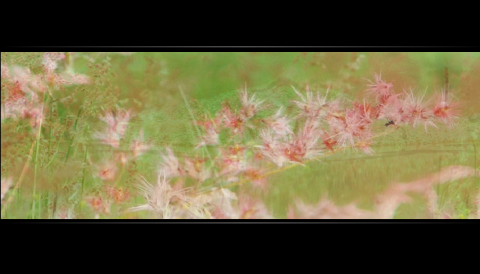 等一分钟（妙昕） 截图 3/8