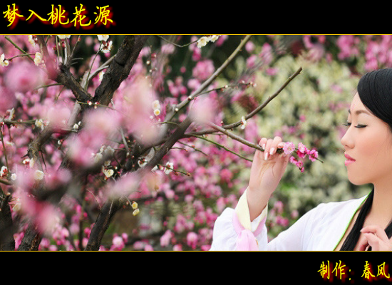 梦入桃花源（指间春色） 截图 2/8