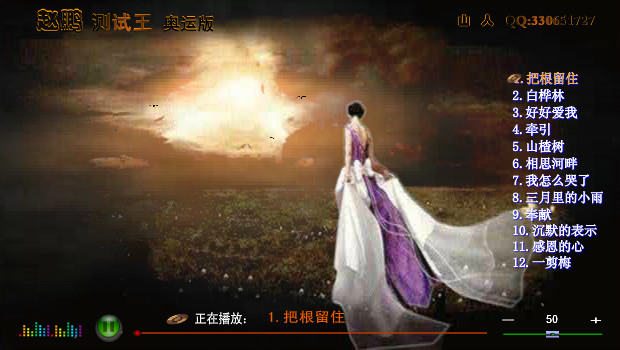 低音王子 赵鹏 测试王(12首) 截图 1