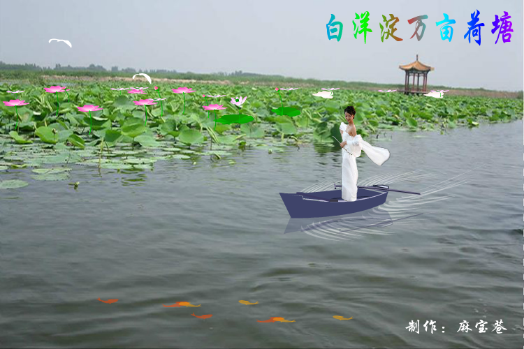 白洋淀万亩荷塘（麻宝苍） 截图 1/8