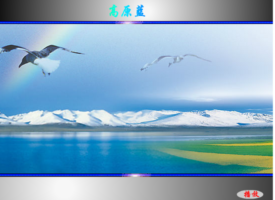 高原蓝（会飞的鱼） 截图 8/8