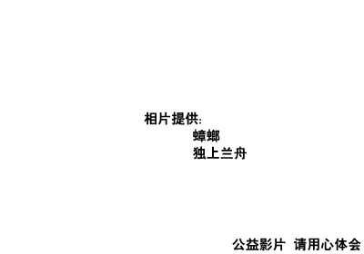 公益片之老人相册（阿饼） 截图 4/6