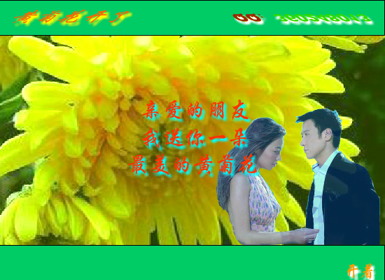 黄菊花开了（Blue） 截图 3/8