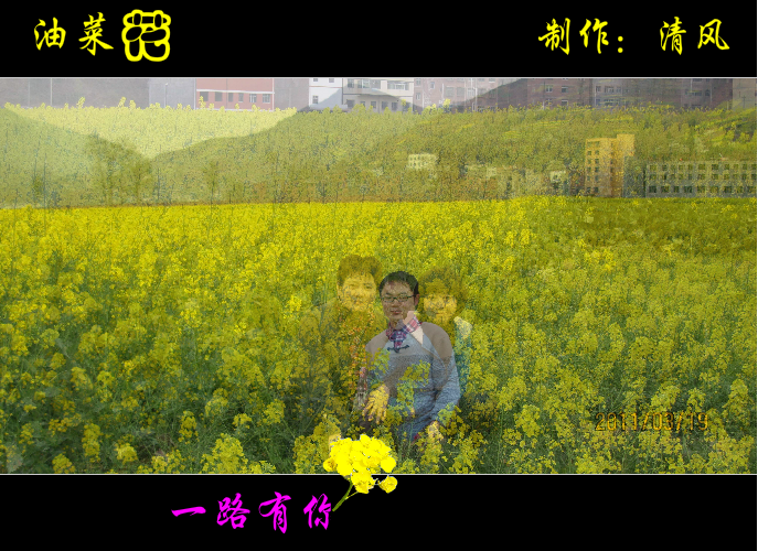 油菜花（清风） 截图 2/8