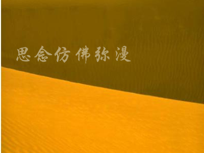 丝路（BB） 截图 4/8