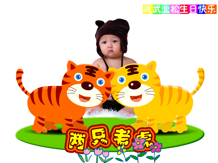 两只老虎 截图 1