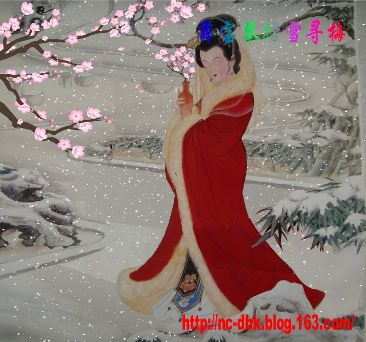 踏雪寻梅（麻宝苍） 截图 1/8