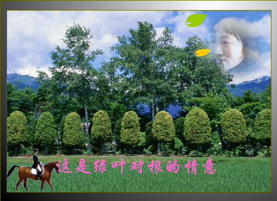 绿叶对根的情意（淌河行） 截图 8/8