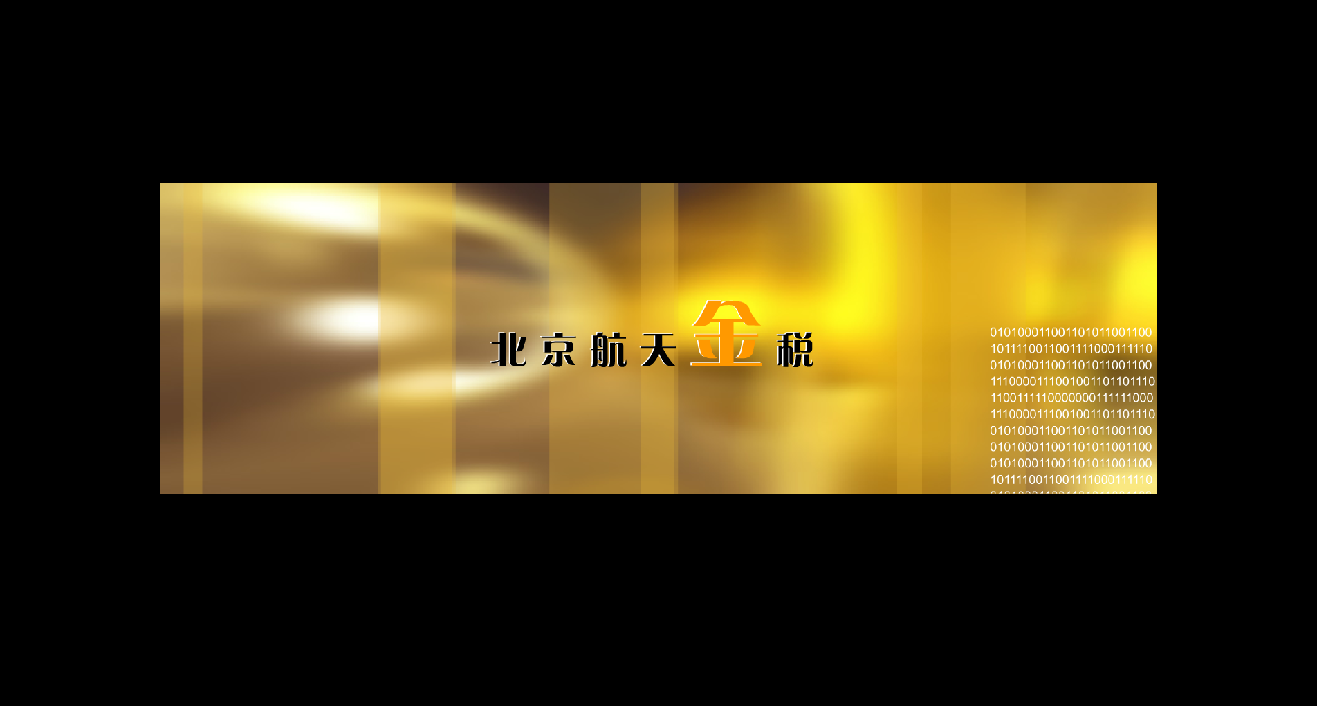 北京金税产品宣传片 截图 1