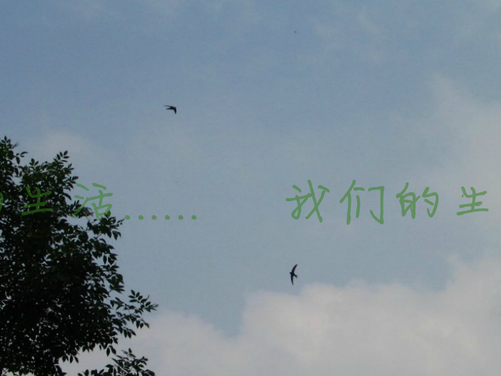 感恩生活（hj179） 截图 5/8